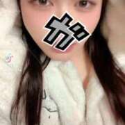 ヒメ日記 2026/01/29 11:28 投稿 はる ぽっちゃり巨乳素人専門店ぷにめろ西船橋店