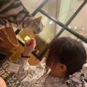 ヒメ日記 2026/04/20 10:48 投稿 はる ぽっちゃり巨乳素人専門店ぷにめろ西船橋店