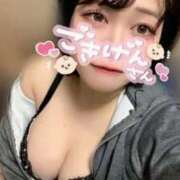 ヒメ日記 2026/07/08 02:38 投稿 はる ぽっちゃり巨乳素人専門店ぷにめろ西船橋店