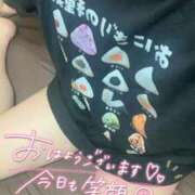 ヒメ日記 2026/08/19 11:58 投稿 はる ぽっちゃり巨乳素人専門店ぷにめろ西船橋店