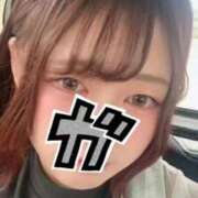 ヒメ日記 2026/09/15 13:18 投稿 はる ぽっちゃり巨乳素人専門店ぷにめろ西船橋店