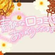 ヒメ日記 2026/02/12 15:19 投稿 みゆ ぽっちゃり巨乳素人専門店ぷにめろ西船橋店