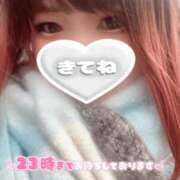 ヒメ日記 2025/11/23 15:08 投稿 さくら ぽっちゃり巨乳素人専門店ぷにめろ西船橋店