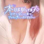 ヒメ日記 2025/11/26 17:08 投稿 さくら ぽっちゃり巨乳素人専門店ぷにめろ西船橋店