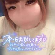 ヒメ日記 2025/11/29 15:15 投稿 さくら ぽっちゃり巨乳素人専門店ぷにめろ西船橋店