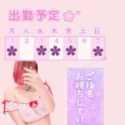 ヒメ日記 2025/11/30 12:14 投稿 さくら ぽっちゃり巨乳素人専門店ぷにめろ西船橋店