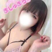 ヒメ日記 2025/12/23 17:28 投稿 さくら ぽっちゃり巨乳素人専門店ぷにめろ西船橋店