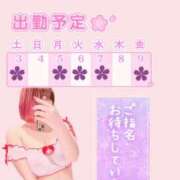 ヒメ日記 2026/01/02 17:18 投稿 さくら ぽっちゃり巨乳素人専門店ぷにめろ西船橋店