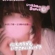 ヒメ日記 2026/01/19 11:38 投稿 さくら ぽっちゃり巨乳素人専門店ぷにめろ西船橋店