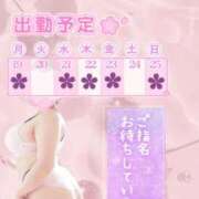 さくら 今週のシフトです🍒 ぽっちゃり巨乳素人専門店ぷにめろ西船橋店