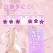 ヒメ日記 2026/01/24 11:48 投稿 さくら ぽっちゃり巨乳素人専門店ぷにめろ西船橋店