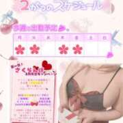 ヒメ日記 2026/02/01 08:08 投稿 さくら ぽっちゃり巨乳素人専門店ぷにめろ西船橋店