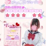 ヒメ日記 2026/02/08 17:08 投稿 さくら ぽっちゃり巨乳素人専門店ぷにめろ西船橋店