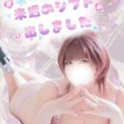 ヒメ日記 2026/02/11 12:18 投稿 さくら ぽっちゃり巨乳素人専門店ぷにめろ西船橋店