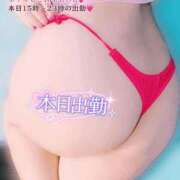 ヒメ日記 2026/03/03 11:48 投稿 さくら ぽっちゃり巨乳素人専門店ぷにめろ西船橋店