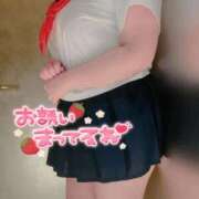 ヒメ日記 2026/03/12 17:38 投稿 さくら ぽっちゃり巨乳素人専門店ぷにめろ西船橋店