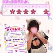 ヒメ日記 2026/03/16 15:08 投稿 さくら ぽっちゃり巨乳素人専門店ぷにめろ西船橋店
