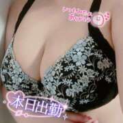 ヒメ日記 2026/03/17 11:08 投稿 さくら ぽっちゃり巨乳素人専門店ぷにめろ西船橋店