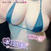 ヒメ日記 2026/03/18 11:48 投稿 さくら ぽっちゃり巨乳素人専門店ぷにめろ西船橋店