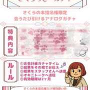 ヒメ日記 2026/03/31 16:18 投稿 さくら ぽっちゃり巨乳素人専門店ぷにめろ西船橋店