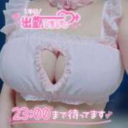 ヒメ日記 2026/04/07 14:58 投稿 さくら ぽっちゃり巨乳素人専門店ぷにめろ西船橋店