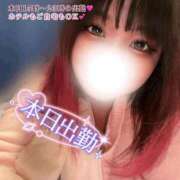 ヒメ日記 2026/04/08 11:38 投稿 さくら ぽっちゃり巨乳素人専門店ぷにめろ西船橋店