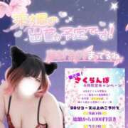 ヒメ日記 2026/04/09 15:19 投稿 さくら ぽっちゃり巨乳素人専門店ぷにめろ西船橋店