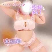 ヒメ日記 2026/04/14 11:08 投稿 さくら ぽっちゃり巨乳素人専門店ぷにめろ西船橋店