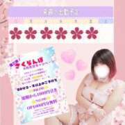ヒメ日記 2026/04/16 15:08 投稿 さくら ぽっちゃり巨乳素人専門店ぷにめろ西船橋店