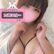 ヒメ日記 2026/04/17 12:20 投稿 さくら ぽっちゃり巨乳素人専門店ぷにめろ西船橋店