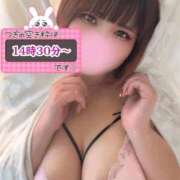 ヒメ日記 2026/04/18 12:18 投稿 さくら ぽっちゃり巨乳素人専門店ぷにめろ西船橋店