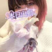 ヒメ日記 2026/04/20 11:08 投稿 さくら ぽっちゃり巨乳素人専門店ぷにめろ西船橋店