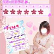 ヒメ日記 2026/04/20 12:21 投稿 さくら ぽっちゃり巨乳素人専門店ぷにめろ西船橋店