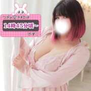 ヒメ日記 2026/04/20 15:18 投稿 さくら ぽっちゃり巨乳素人専門店ぷにめろ西船橋店