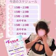 ヒメ日記 2026/04/27 12:18 投稿 さくら ぽっちゃり巨乳素人専門店ぷにめろ西船橋店
