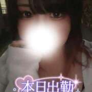 ヒメ日記 2026/04/29 11:08 投稿 さくら ぽっちゃり巨乳素人専門店ぷにめろ西船橋店