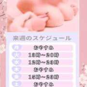 ヒメ日記 2026/05/07 12:36 投稿 さくら ぽっちゃり巨乳素人専門店ぷにめろ西船橋店