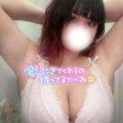 ヒメ日記 2026/05/11 12:19 投稿 さくら ぽっちゃり巨乳素人専門店ぷにめろ西船橋店