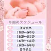 ヒメ日記 2026/05/11 20:08 投稿 さくら ぽっちゃり巨乳素人専門店ぷにめろ西船橋店