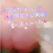 ヒメ日記 2026/05/13 13:58 投稿 さくら ぽっちゃり巨乳素人専門店ぷにめろ西船橋店