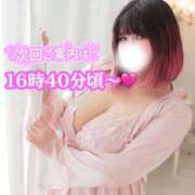 ヒメ日記 2026/05/14 15:08 投稿 さくら ぽっちゃり巨乳素人専門店ぷにめろ西船橋店