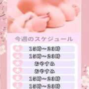 ヒメ日記 2026/05/17 20:08 投稿 さくら ぽっちゃり巨乳素人専門店ぷにめろ西船橋店