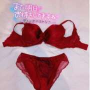 ヒメ日記 2026/05/23 20:48 投稿 さくら ぽっちゃり巨乳素人専門店ぷにめろ西船橋店