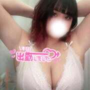 ヒメ日記 2026/07/14 13:14 投稿 さくら ぽっちゃり巨乳素人専門店ぷにめろ西船橋店