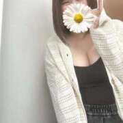 ヒメ日記 2025/11/03 13:48 投稿 あかり ぽっちゃり巨乳素人専門店ぷにめろ西船橋店