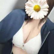 ヒメ日記 2025/11/08 18:09 投稿 あかり ぽっちゃり巨乳素人専門店ぷにめろ西船橋店