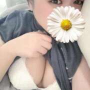 ヒメ日記 2025/11/13 01:08 投稿 あかり ぽっちゃり巨乳素人専門店ぷにめろ西船橋店