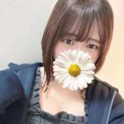 ヒメ日記 2025/11/14 20:46 投稿 あかり ぽっちゃり巨乳素人専門店ぷにめろ西船橋店