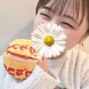 ヒメ日記 2025/11/28 20:28 投稿 あかり ぽっちゃり巨乳素人専門店ぷにめろ西船橋店