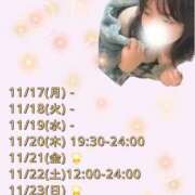 ヒメ日記 2025/11/18 12:39 投稿 みおん ぽっちゃり巨乳素人専門店ぷにめろ西船橋店